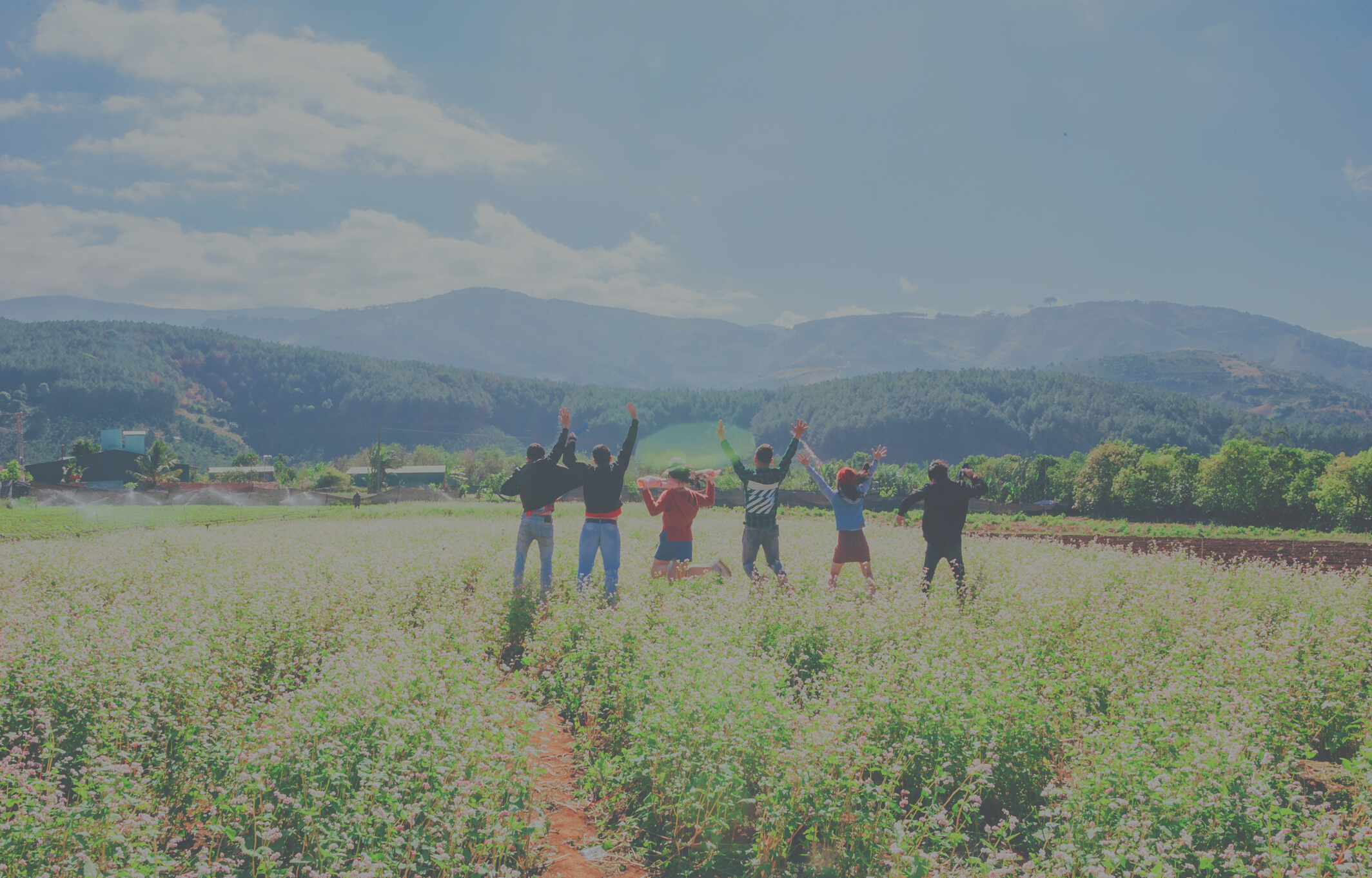 Group of Six People Standing on Green Grass Field